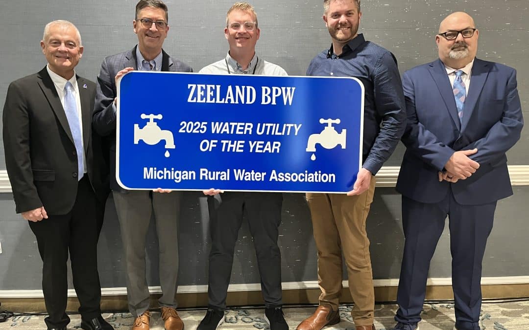 Zeeland BPW Named Utility of the Year